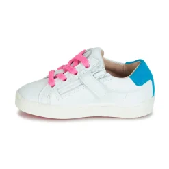 Acebo's - STARWAY