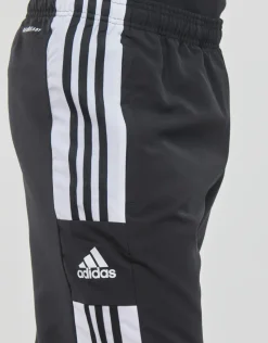 adidas Performance - SQ21 PRE PNT