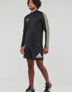 adidas Performance - TIRO23 L TR JKT