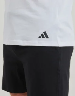 Adidas Sportswear - ACTIVE CORE COTTON Pack de 3