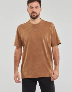 Adidas Sportswear - ALL SZN W T
