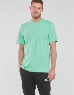 Adidas Sportswear - ALL SZN T