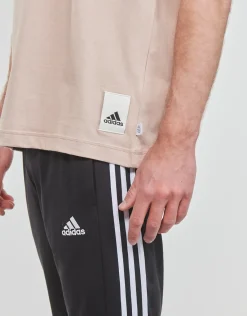 Adidas Sportswear - CAPS TEE
