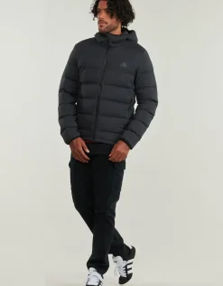 Adidas Sportswear - Helionic Stretch Hooded Down Jacket