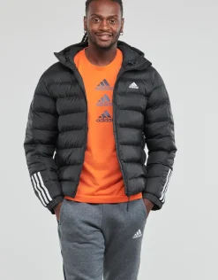 Adidas Sportswear - ITAVIC M H JKT