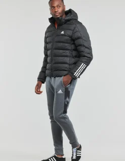 Adidas Sportswear - ITAVIC M H JKT