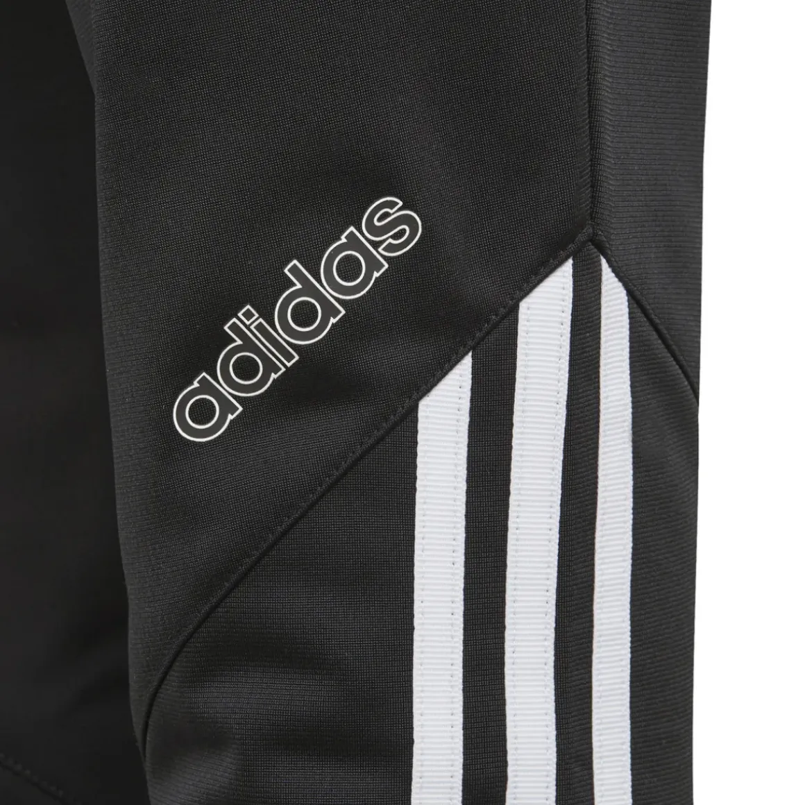 adidas Originals - BLOEU