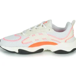 adidas Originals - HAIWEE W