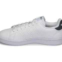 Adidas Sportswear - ADVANTAGE