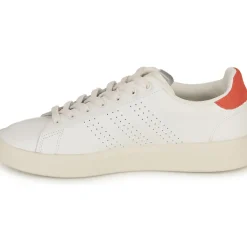 Adidas Sportswear - ADVANTAGE PREMIUM