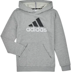 Adidas Sportswear - BL 2 HOODIE