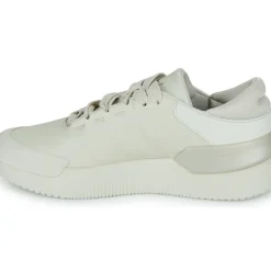 Adidas Sportswear - COURT FUNK