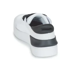 Adidas Sportswear - COURT FUNK