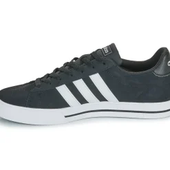 Adidas Sportswear - DAILY 3.0