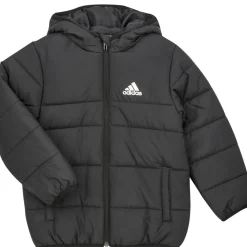 Adidas Sportswear - JK PAD JKT
