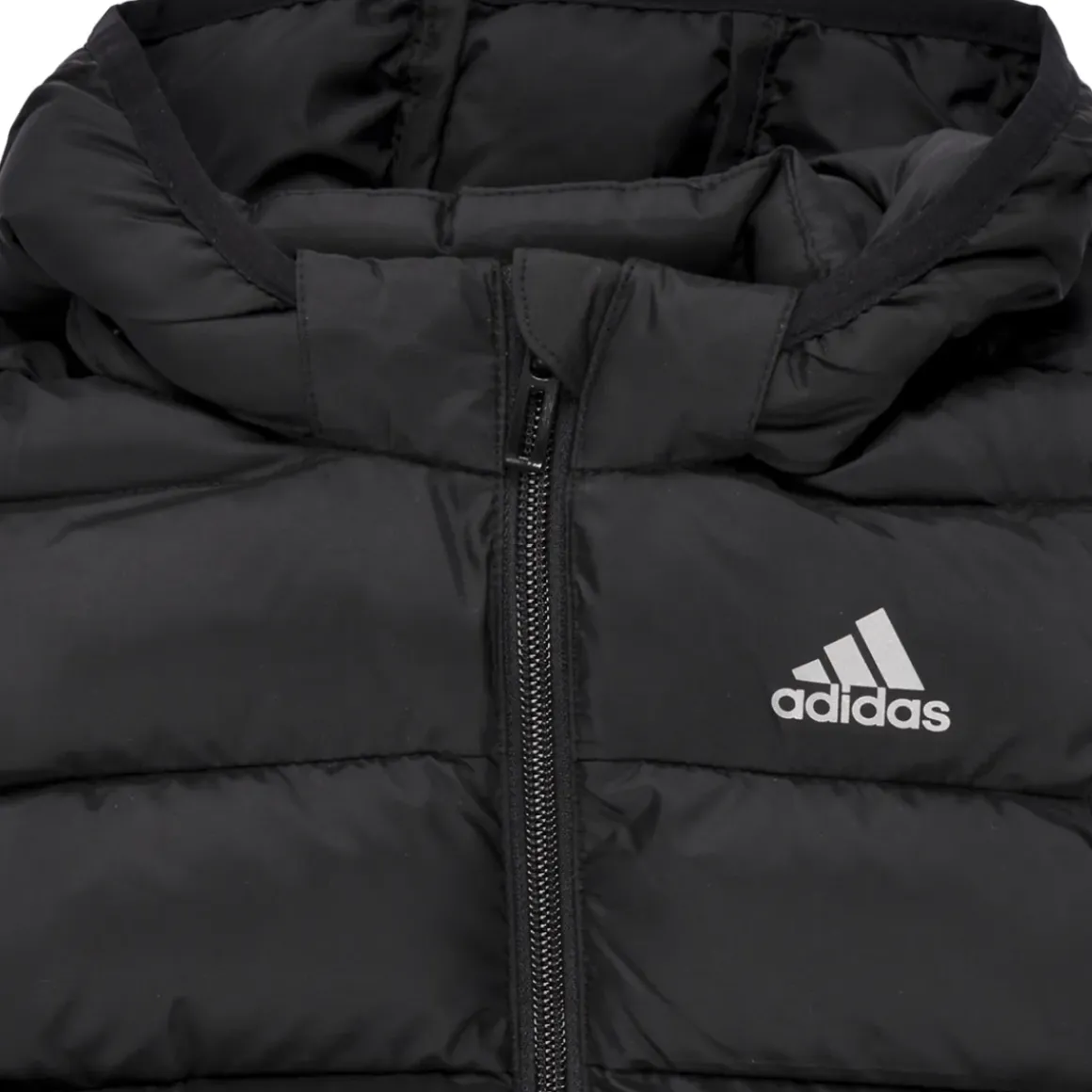 Adidas Sportswear - Synthetic Down Jacket