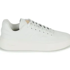 Adidas Sportswear - ZNTASY