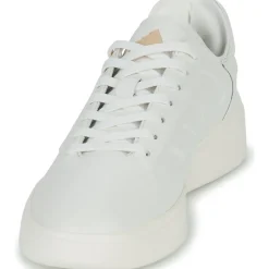 Adidas Sportswear - ZNTASY