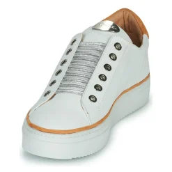 Adige - QUANTON4 V8