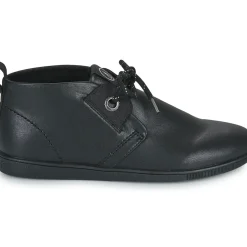 Armistice - STONE MID CUT