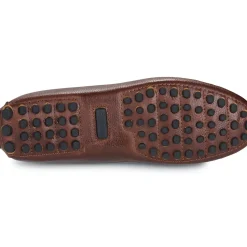 Barbour - LAIRE