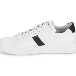 Blackstone - BG172
