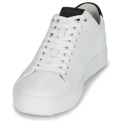 Blackstone - RM50