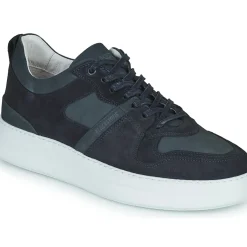 Blackstone - WG70