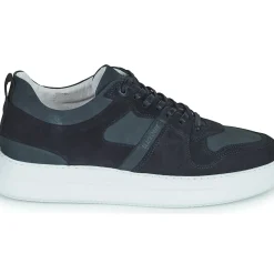 Blackstone - WG70