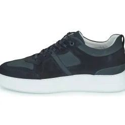 Blackstone - WG70