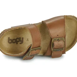 Bopy - EDOUARVEL