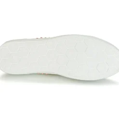 Bullboxer - AGM008