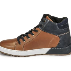 Bullboxer - AOF506COGN