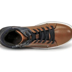 Bullboxer - AOF506COGN
