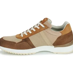 Bullboxer - DEAN CUP LOW M