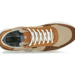 Bullboxer - DEAN CUP LOW M
