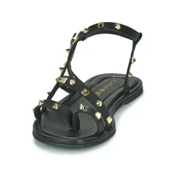 Café Noir - C1GD1040