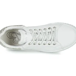 Café Noir - THINA