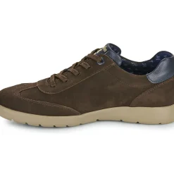 CallagHan - AMANCI LUXE