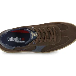 CallagHan - AMANCI LUXE
