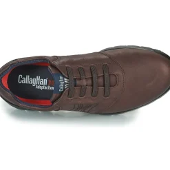 CallagHan - PLUVIAM