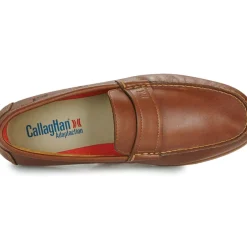 CallagHan - Seaport Jacinto
