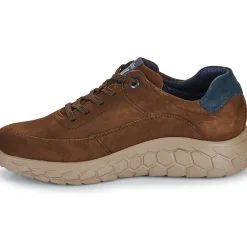 CallagHan - SUV CRO