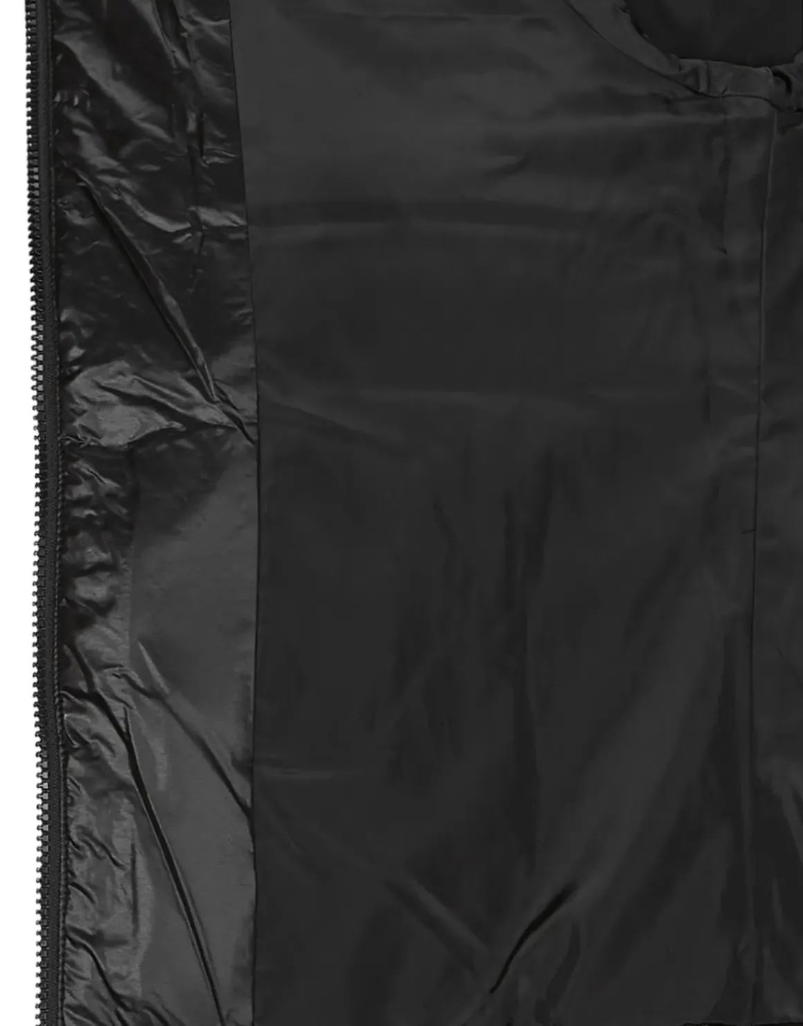 Calvin Klein Jeans - LW PADDED FITTED JACKET