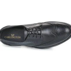 Carlington - LOUVIAN