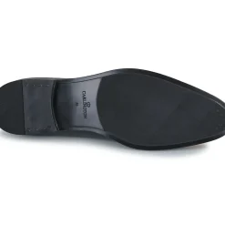 Carlington - ONIE