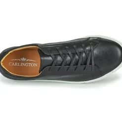 Carlington - SERIAL