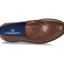 Carlington - VARTUS