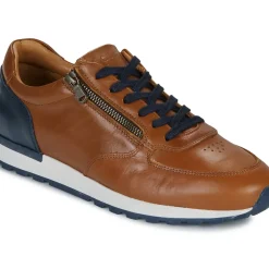 Casual Attitude - BILANO