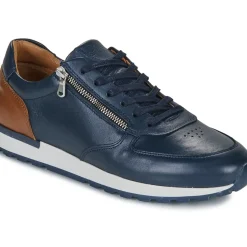 Casual Attitude - BILANO
